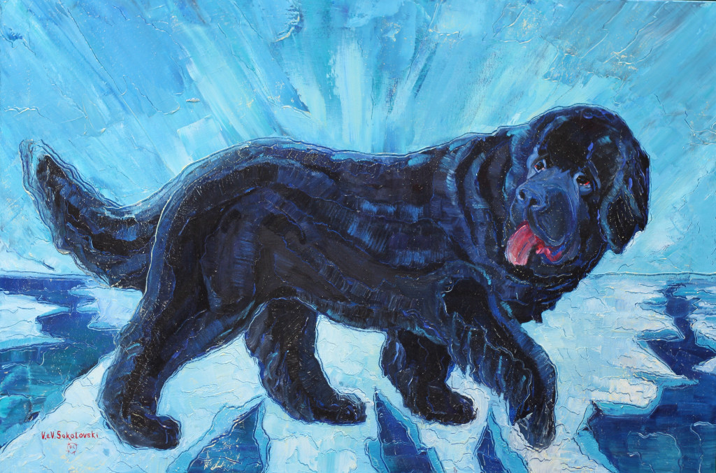 NFLD Dog - Oil on canvas, 36x24 - Valeri Sokolovski